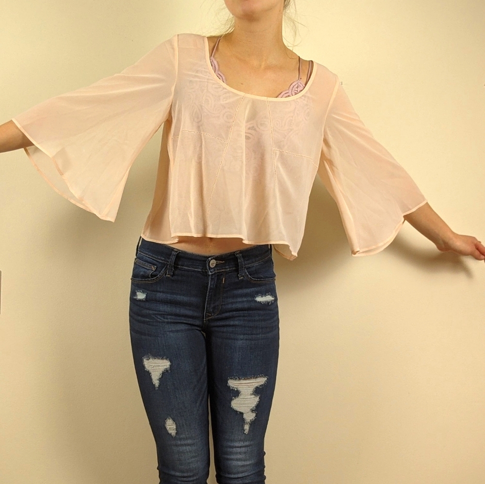 Nasty Gal Sheer Crop Top
